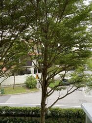 Grosvenor View (D14), Condominium #581982051